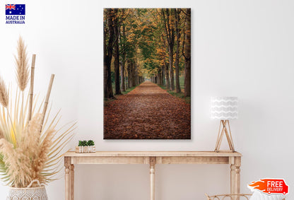 Avenue Covered by Fall Leaves in Pilnitz Park, Dresden, Germany Wall Art Decor 100% Australian Made