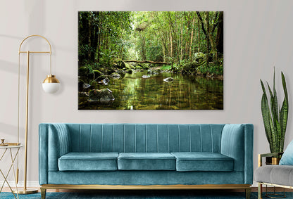 Daintree Rainforest Queensland Stream Wall Art Decor 100% Australian Made