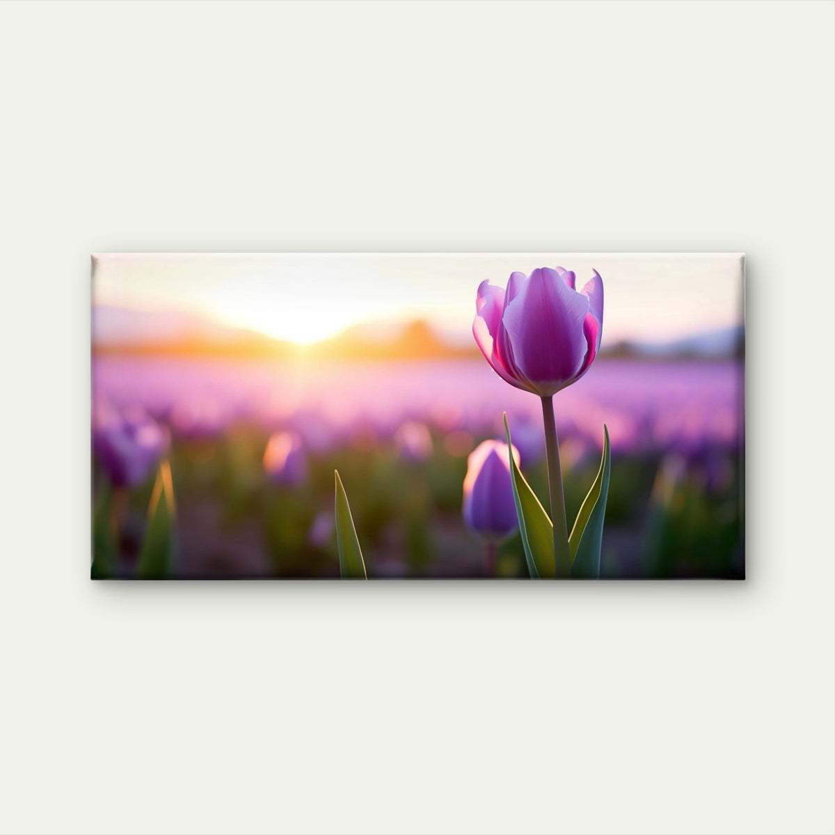 Sunrise Purple Tulip Flower Garden Wall Art Canvas Office Home Framed 120x60cm