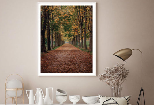 Avenue Covered by Fall Leaves in Pilnitz Park, Dresden, Germany Home Decor Premium Quality Poster Print Choose Your Sizes