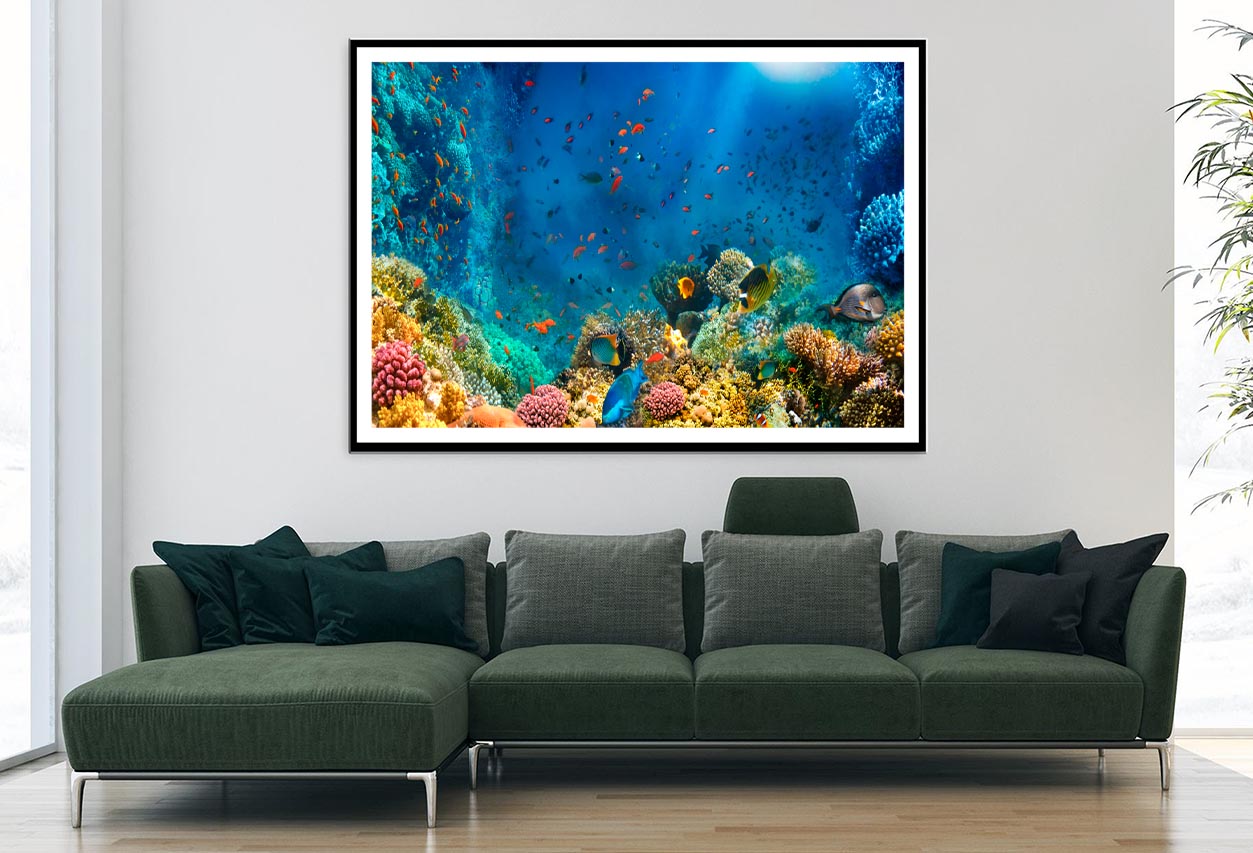 Underwater World Coral Fishes Of Red Sea Home Decor Premium Quality Poster Print Choose Your Sizes - Bella Home Decor