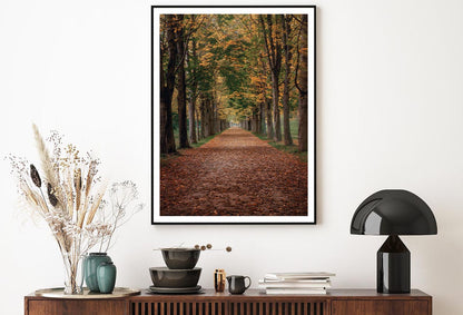 Avenue Covered by Fall Leaves in Pilnitz Park, Dresden, Germany Home Decor Premium Quality Poster Print Choose Your Sizes