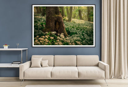 Flowering Ramson, Allium Ursinum Home Decor Premium Quality Poster Print Choose Your Sizes