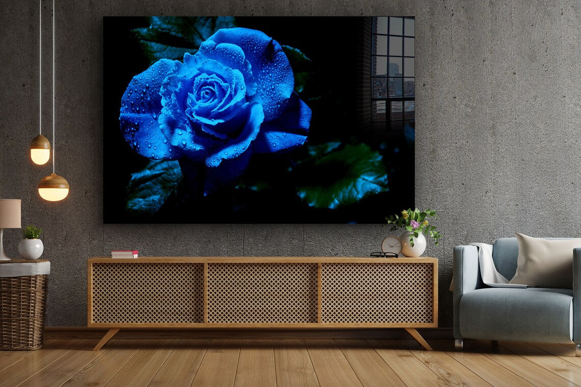 Blue Rose Waterdrops UV Direct Aluminum Print Australian Made Quality