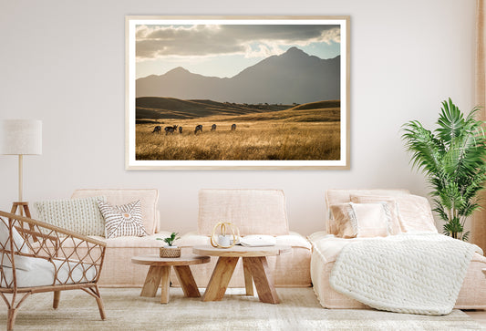 Sonoita Antelope Home Decor Premium Quality Poster Print Choose Your Sizes