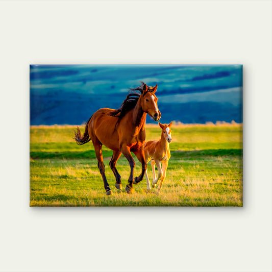 Brown Horse and Foal Running in Field Wall Art Decor 100% Australian Made