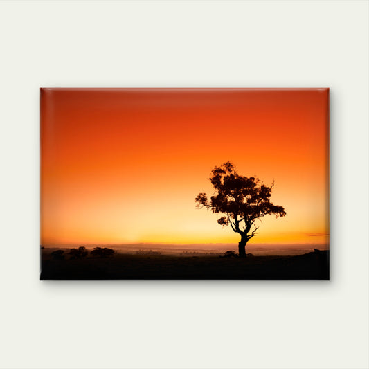 Barossa Valley Golden Sunset Tree Wall Art Decor 100% Australian Made