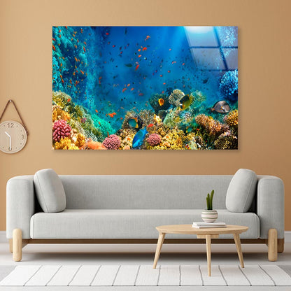 Underwater World Coral Fishes Of Red Sea  Acrylic Glass Print Tempered Glass Wall Art 100% Made in Australia Ready to Hang - Bella Home Decor