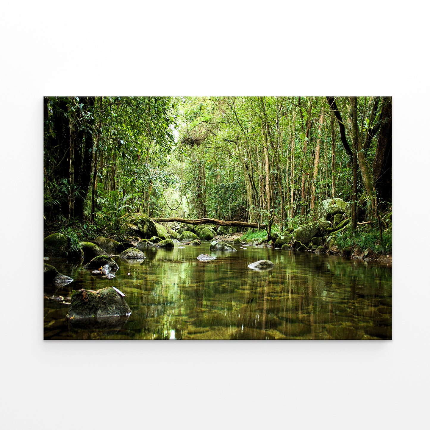 Daintree Rainforest Queensland Stream Wall Art Decor 100% Australian Made