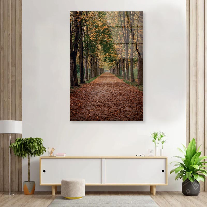 Avenue Covered by Fall Leaves in Pilnitz Park, Dresden, Germany Portrait Photograph Acrylic Glass Print Tempered Glass Wall Art 100% Made in Australia Ready to Hang - Bella Home Decor