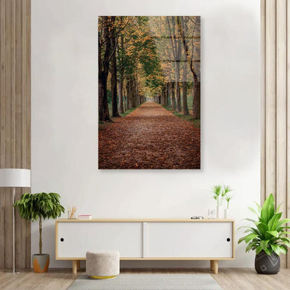 Avenue Covered by Fall Leaves in Pilnitz Park, Dresden, Germany Portrait Photograph Acrylic Glass Print Tempered Glass Wall Art 100% Made in Australia Ready to Hang - Bella Home Decor