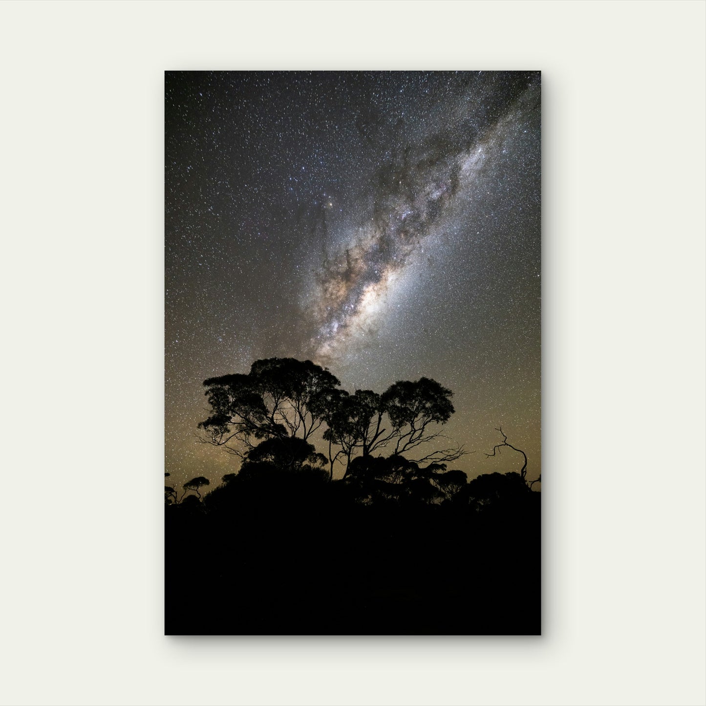 Milky Way Above Silhouetted Trees 40x60cm Metal Print Ready to Hang