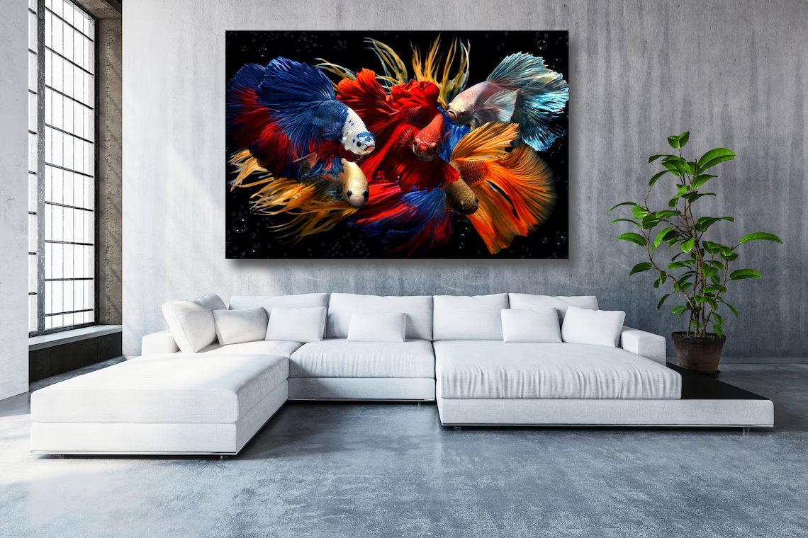 Betta Fish Acrylic Glass Print Tempered Glass Wall Art 100% Made in Australia Ready to Hang