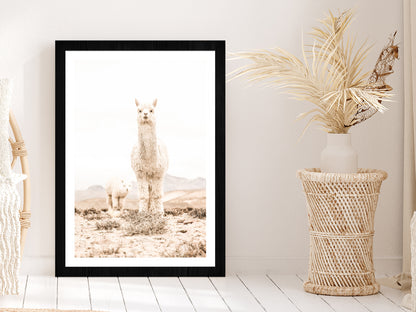 Llama Baby Faded Closeup Photograph Glass Framed Wall Art, Ready to Hang Quality Print With White Border Black