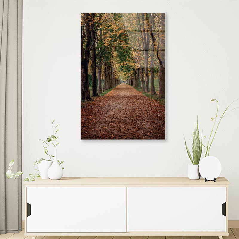 Avenue Covered by Fall Leaves in Pilnitz Park, Dresden, Germany Portrait Photograph Acrylic Glass Print Tempered Glass Wall Art 100% Made in Australia Ready to Hang - Bella Home Decor