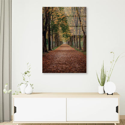 Avenue Covered by Fall Leaves in Pilnitz Park, Dresden, Germany Portrait Photograph Acrylic Glass Print Tempered Glass Wall Art 100% Made in Australia Ready to Hang - Bella Home Decor