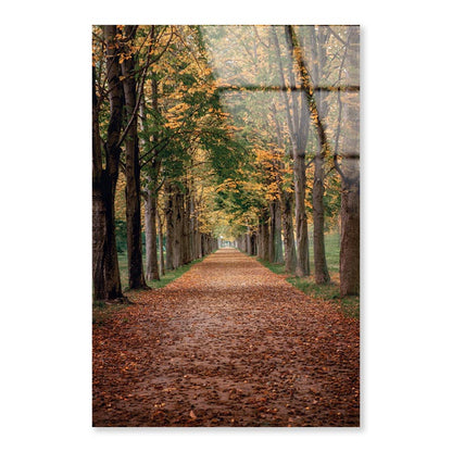 Avenue Covered by Fall Leaves in Pilnitz Park, Dresden, Germany Portrait Photograph Acrylic Glass Print Tempered Glass Wall Art 100% Made in Australia Ready to Hang - Bella Home Decor