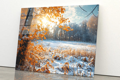 Winter with Autumn Leaves Acrylic Glass Print Tempered Glass Wall Art 100% Made in Australia Ready to Hang - Bella Home Decor