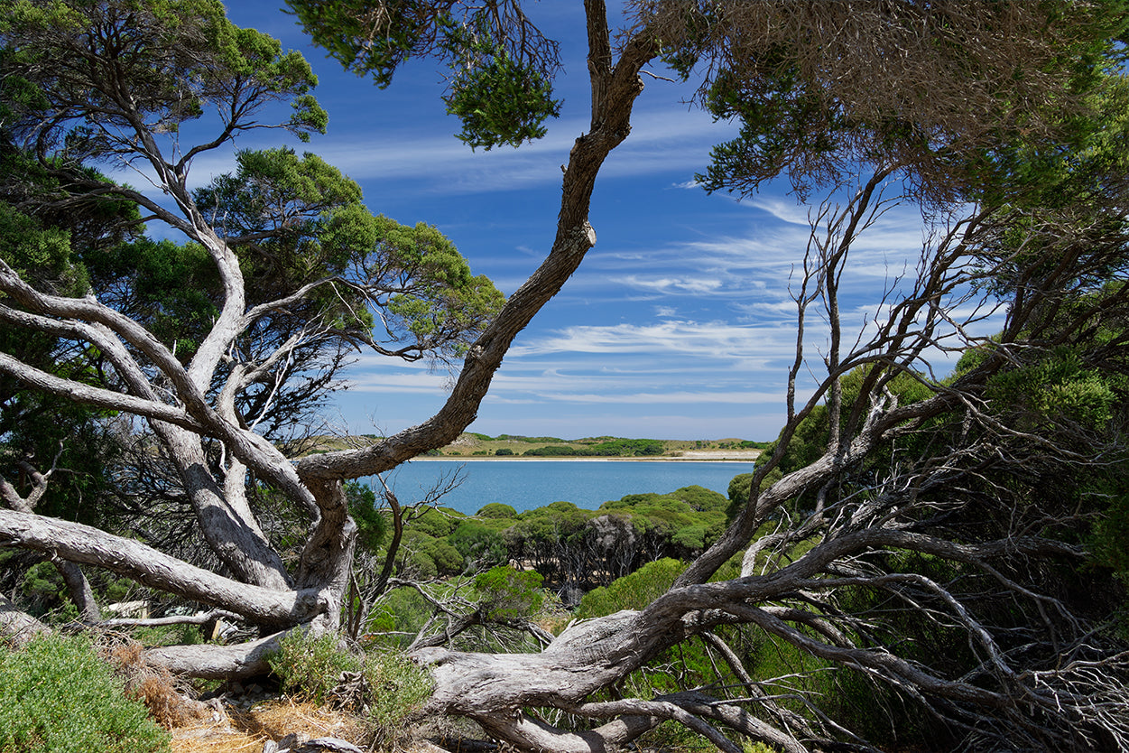 Rottnest Island Western Australia Vlamingh Lookout Wall Art Decor 100% Australian Made