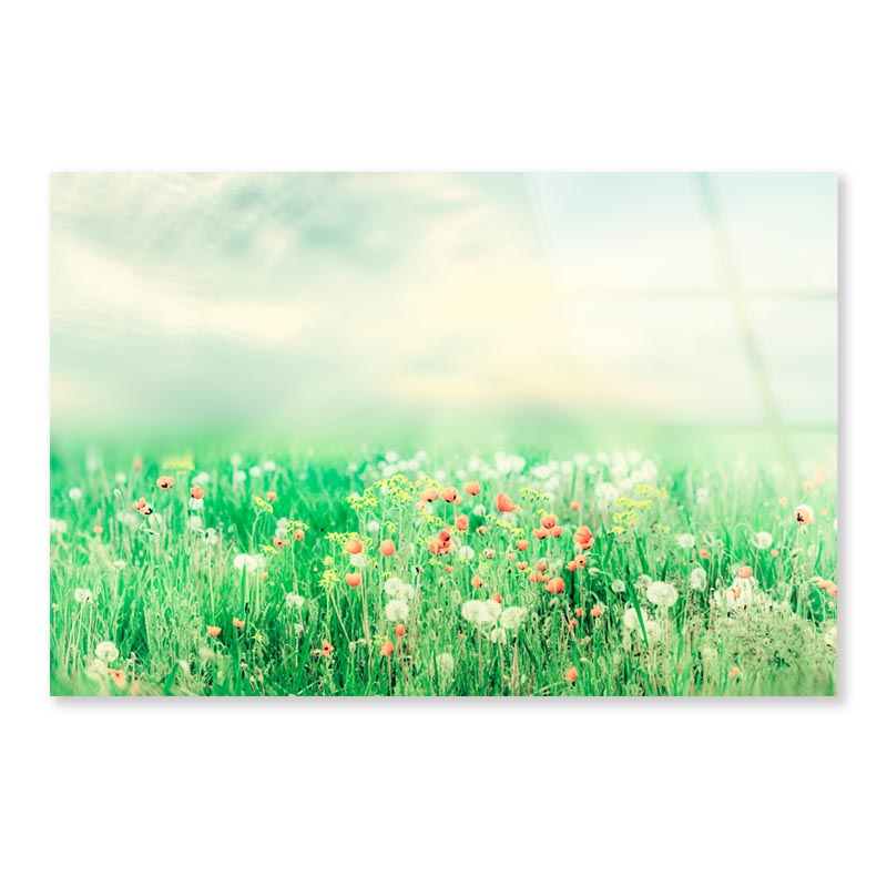 Beautiful Vintage Summer Landscape with Sun & Flowers  Acrylic Glass Print Tempered Glass Wall Art 100% Made in Australia Ready to Hang