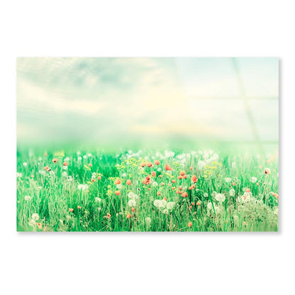 Beautiful Vintage Summer Landscape with Sun & Flowers  Acrylic Glass Print Tempered Glass Wall Art 100% Made in Australia Ready to Hang