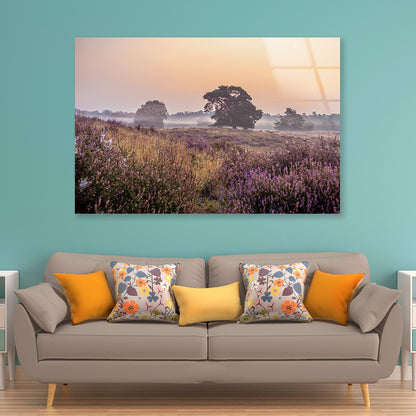 Serene Field of Beautiful Purple Flowers with Trees Acrylic Glass Print Tempered Glass Wall Art 100% Made in Australia Ready to Hang