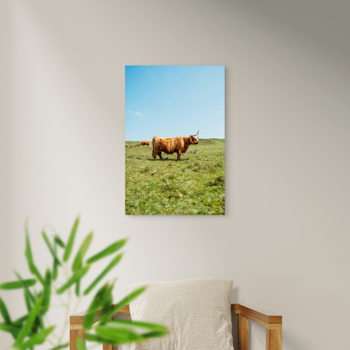 Brown Cow On Green Grass Field During Daytime 60x90cm Metal Print Ready to Hang