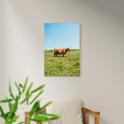 Brown Cow On Green Grass Field During Daytime 60x90cm Metal Print Ready to Hang