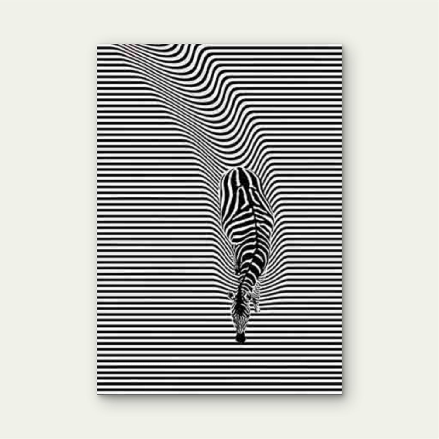 Zebra Optical Illusion  60x90cm Metal Print Ready to Hang - Bella Home Decor