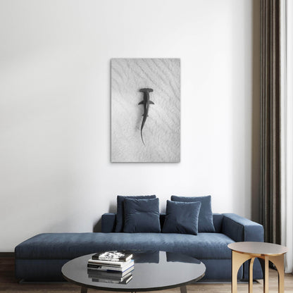 A Great Hammerhead Swimming Over A Sandy Seafloor 60x90cm Metal Print Ready to Hang