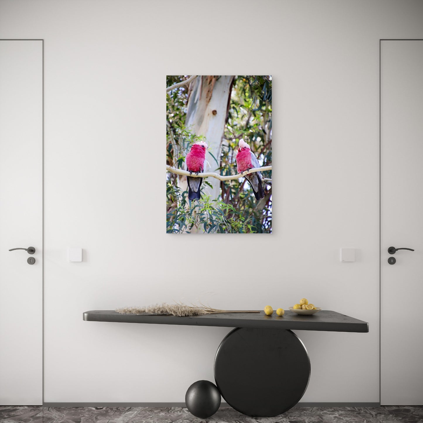 Australian Galah Cockatoo Birds Art 40x60cm Metal Print Ready to Hang