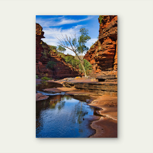 Karijini National Park Kalamina Gorge Outback 40x60cm Metal Print Ready to Hang