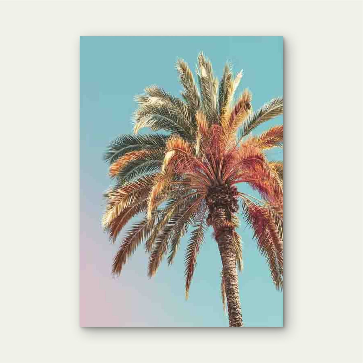 Pastel Tropical Palm Tree Metal Print Ready to Hang