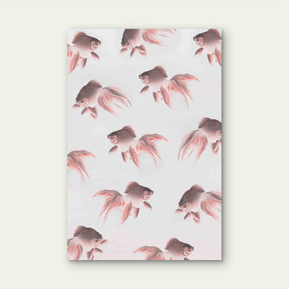 Two Veil Goldfish 60x90cm Metal Print Ready to Hang