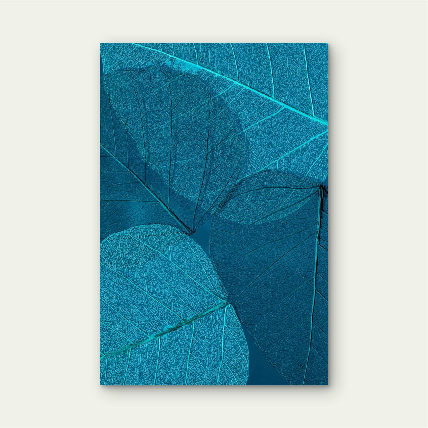 Pipal Leaf Skeletons 60x90cm Metal Print Ready to Hang