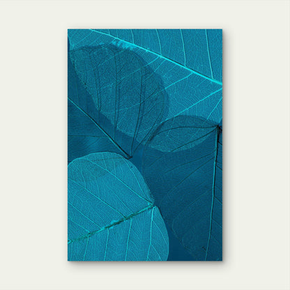 Pipal Leaf Skeletons 60x90cm Metal Print Ready to Hang