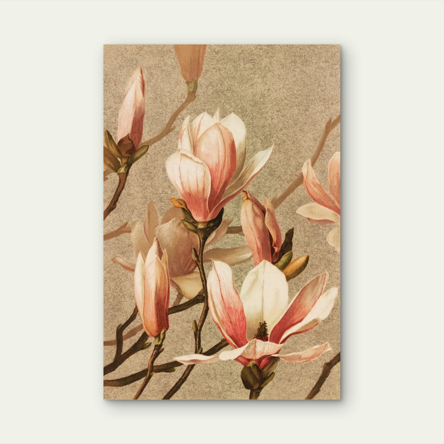 Vintage-Style Pink and White Magnolia Design 40x60cm Metal Print Ready to Hang