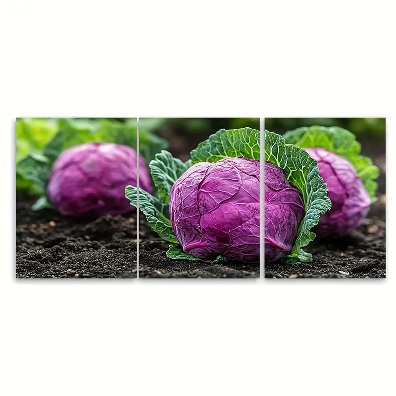 3pcs Homegrown Red Cabbage  Metal Print Ready to Hang Art