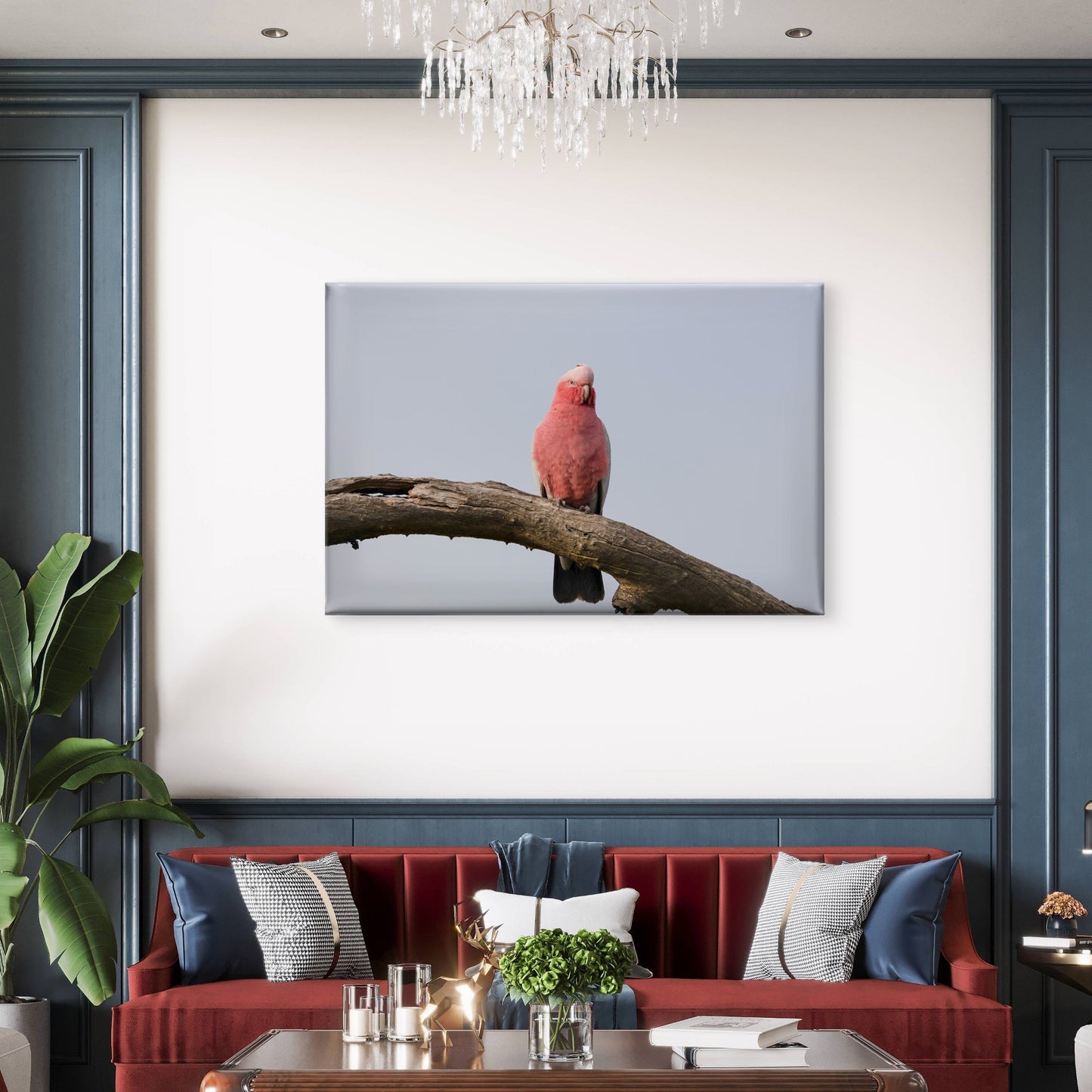 Grey and Pink Galah Perth Western Australia Wall Art Decor 100% Australian Made