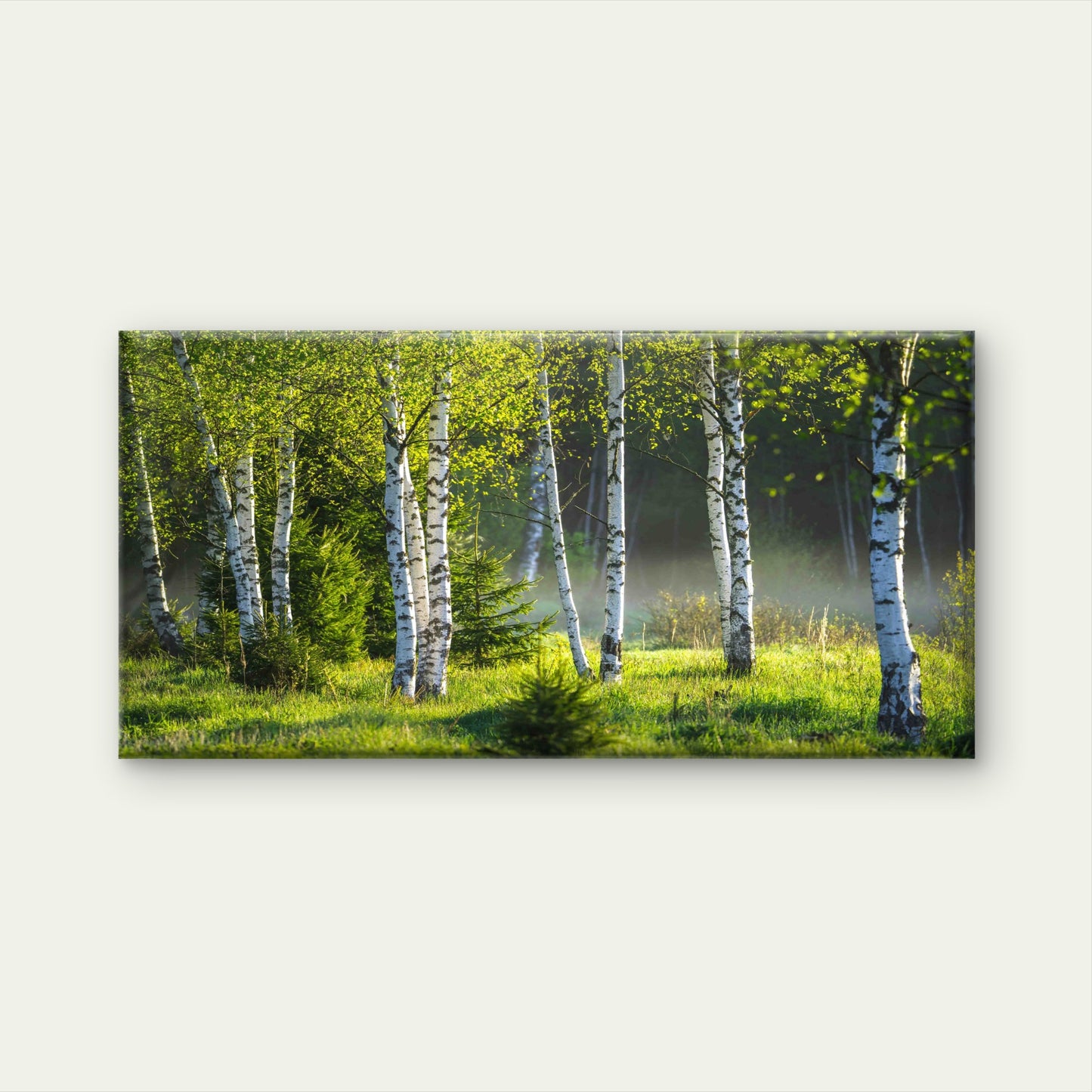 Sunlight Filtering Through Tree Wall Art Canvas Office Home Room Framed 120x60cm