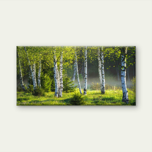 Sunlight Filtering Through Tree Wall Art Canvas Office Home Room Framed 120x60cm