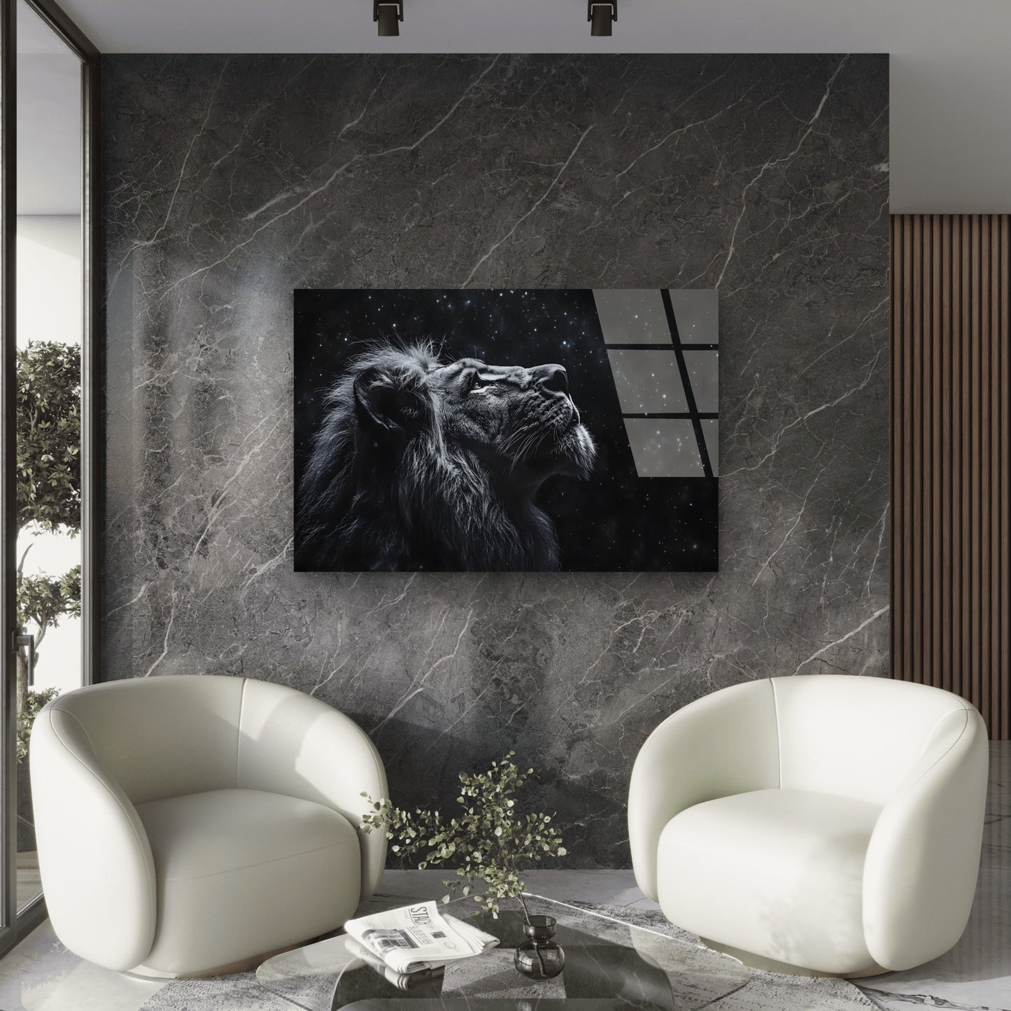 Majestic Lion Gazing Night Sky Acrylic Glass Printing Wall Art Australian Made Quality