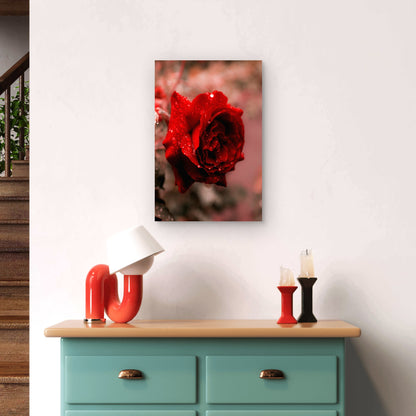 Close Up Photograph Of A Deep Red Rose 60x90cm Metal Print Ready to Hang