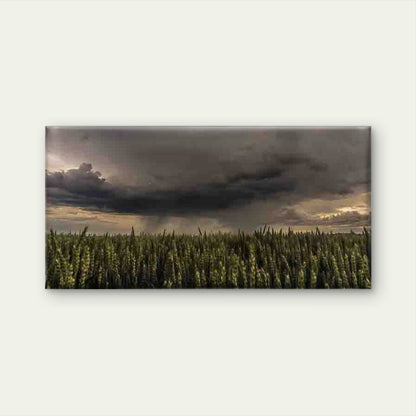 Stormy Sky Over Wheat Field Wall Art Canvas Office Home Room Framed 120x60cm - Bella Home Decor