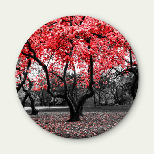 Red Flower Tree Black and White Forest Acrylic Glass Rounded Print Tempered Glass Wall Art 100% Made in Australia Ready to Hang