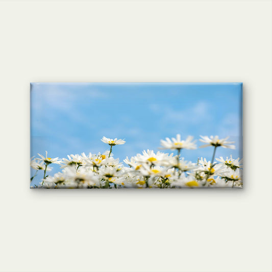 White Daisies Sunny Sky Wall Art Canvas Office Home Room Framed 120x60cm