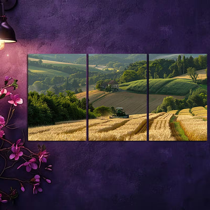 3pcs Golden Valley Harvest Scene with Tractor & Rolling Fields Wall Art Set Canvas Framed 40x60cm - High Quality Print 100% Australian Made Wall Canvas Ready to Hang - Bella Home Decor