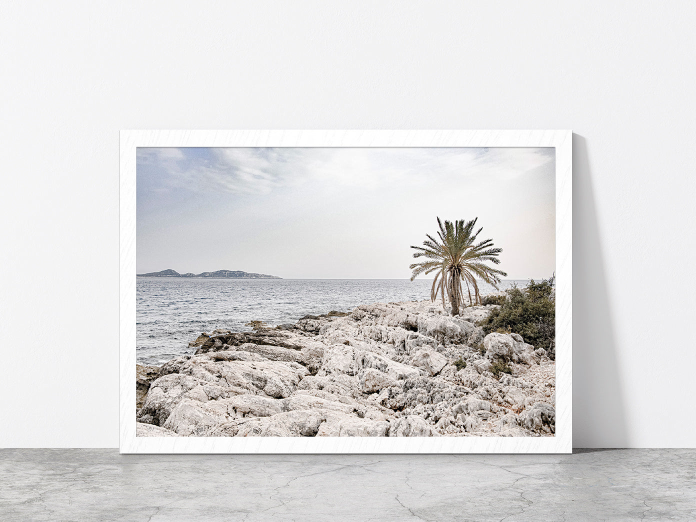 Tree on Rocks near Sea Faded Photograph Glass Framed Wall Art, Ready to Hang Quality Print Without White Border White