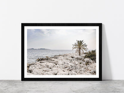 Tree on Rocks near Sea Faded Photograph Glass Framed Wall Art, Ready to Hang Quality Print With White Border Black