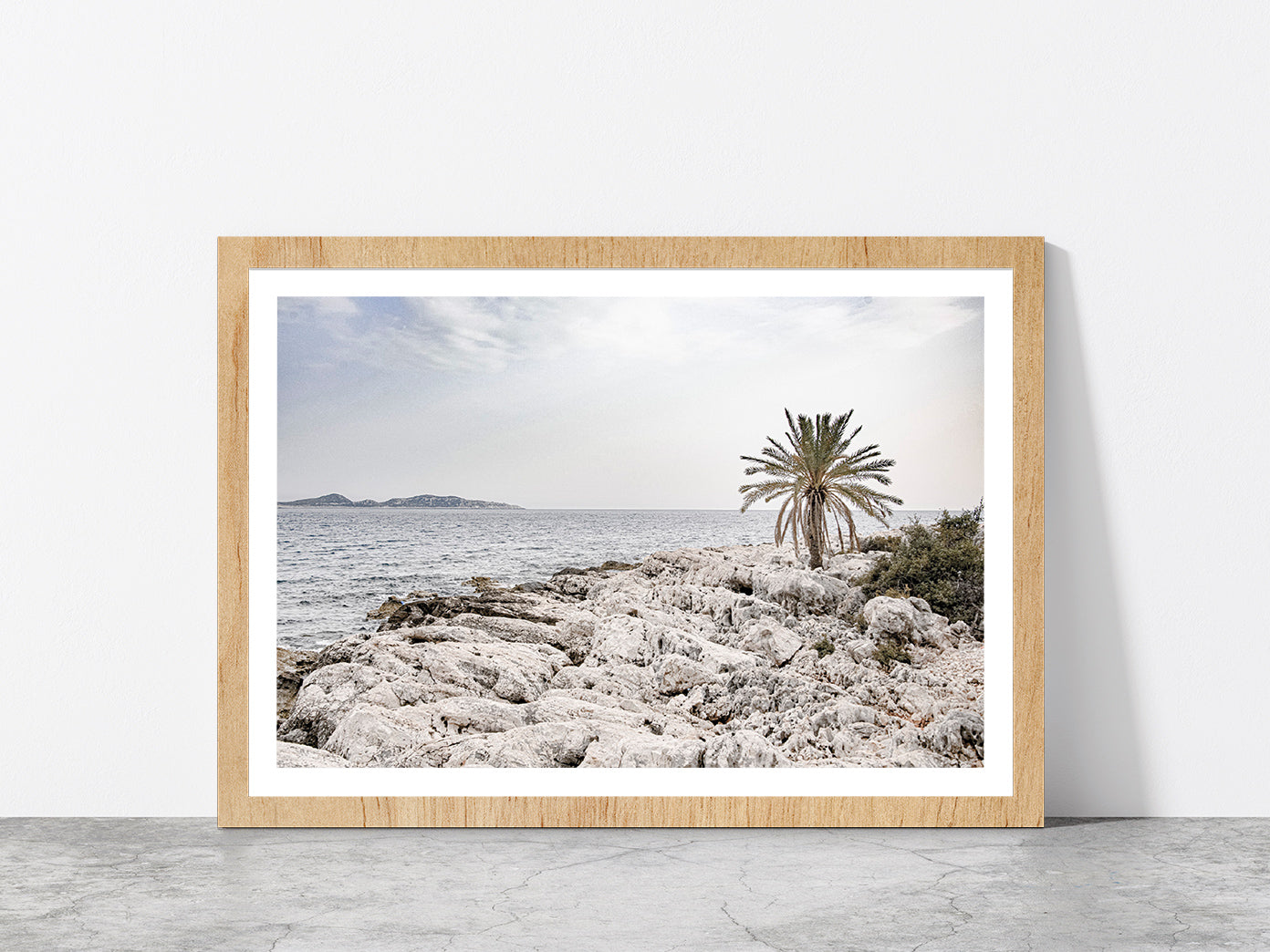 Tree on Rocks near Sea Faded Photograph Glass Framed Wall Art, Ready to Hang Quality Print With White Border Oak